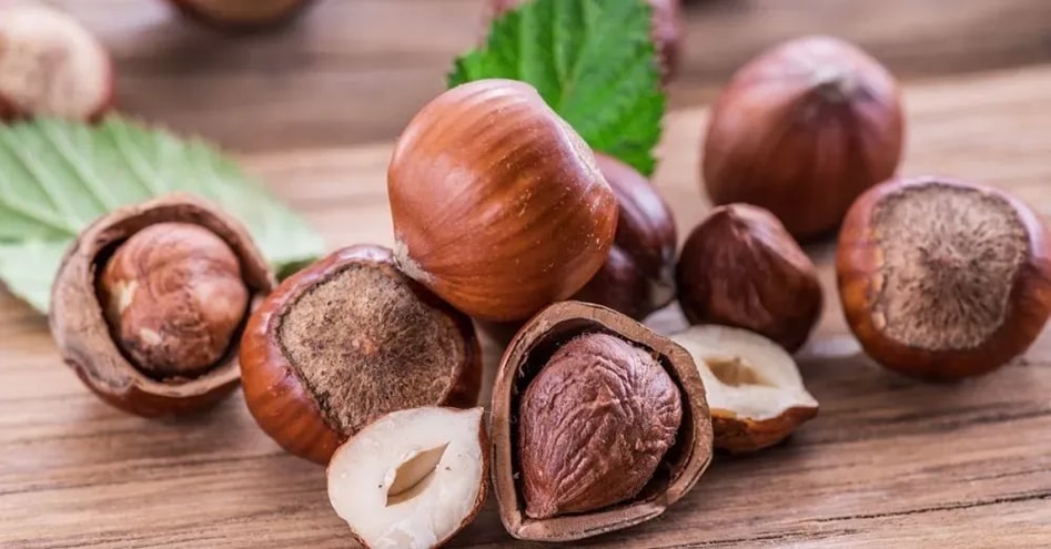 فندق