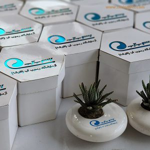 گلدان های تبلیغاتی و گیفت تبلیغاتی