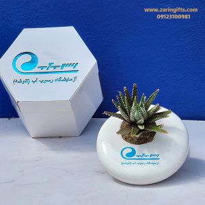 گلدان عدسی به همراه لوگوی شما