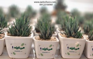 چاپ گلدان تبلیغاتی