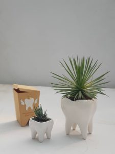 هدایای روز دندانپزشک