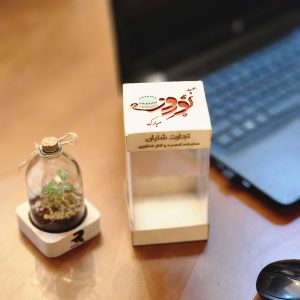 هدایای نوروزی ارزان و گلدان های تبلیغاتی