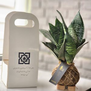 گلدان رومیزی تبلیغاتی