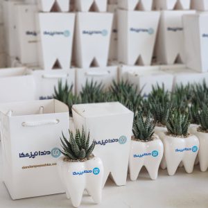 گیفت دندانپزشکی و هدایای روز دندانپزشک