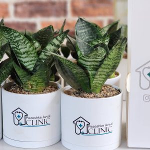 گلدان تبلیغاتی چیست؟