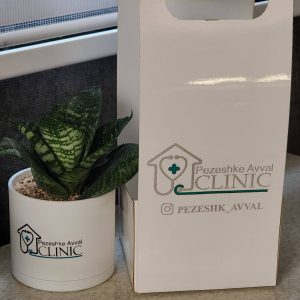 گلدان تبلیغاتی چیست؟