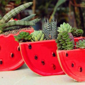 گیفت یلدا و گلدون تبلیغاتی یلدا