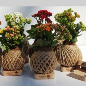 گلدان تبلیغاتی خاص