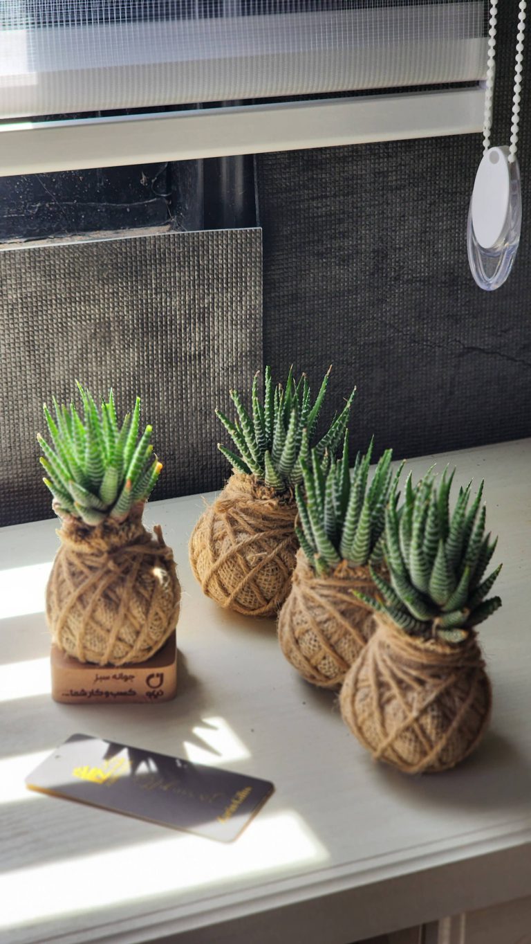 گلدان تبلیغاتی ارزان