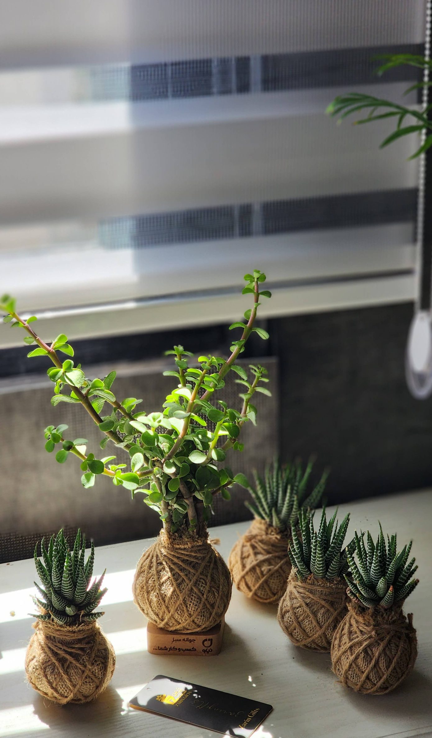 گلدان تبلیغاتی ارزان