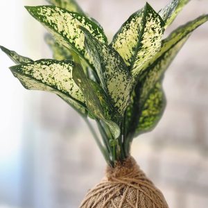 کوکدامای تبلیغاتی و گلدان تبلیغاتی خاص