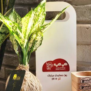 گلدان های تبلیغاتی و گلدان تبلیغاتی خاص