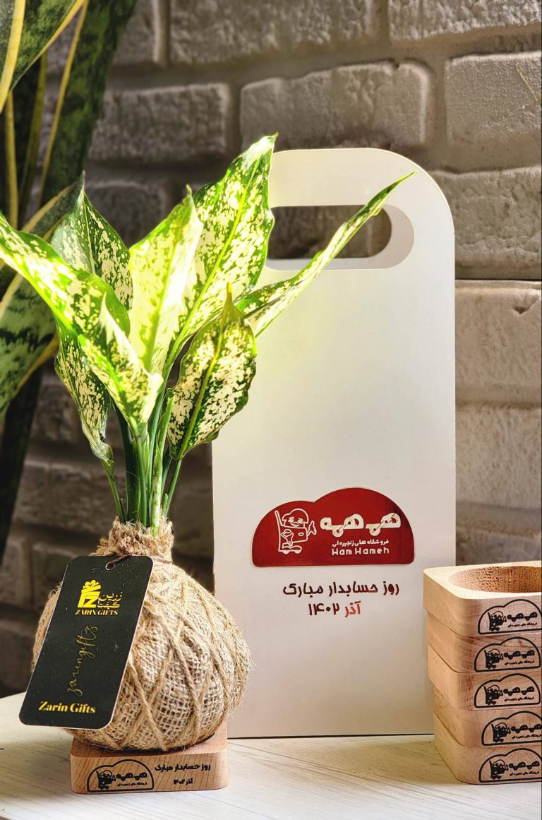 گلدان های تبلیغاتی و گلدان تبلیغاتی خاص