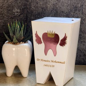 گیفت دندانپزشکی