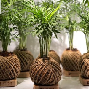 گلدان تبلیغاتی و گلدان های تبلیغاتی