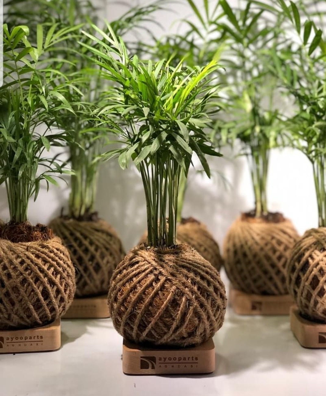 گلدان های تبلیغاتی