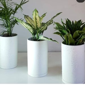 انواع گلدان های تبلیغاتی با چاپ