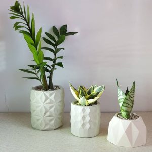 گلدان بتنی تبلیغاتی