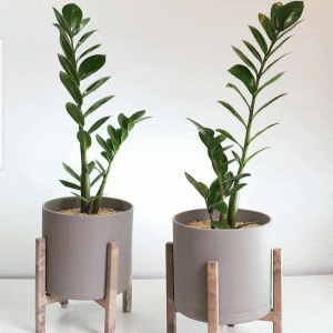 گلدان تبلیغاتی تهران