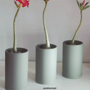 گلدان های تبلیغاتی